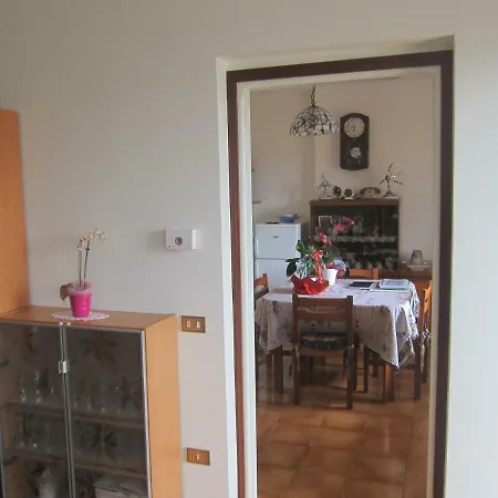Nikita Apt *