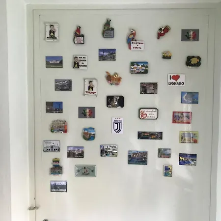 Nikita Apt